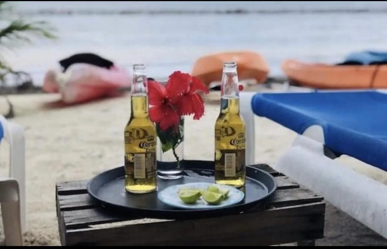 Casa Jaguar Apartment Puerto Morelos Mexico