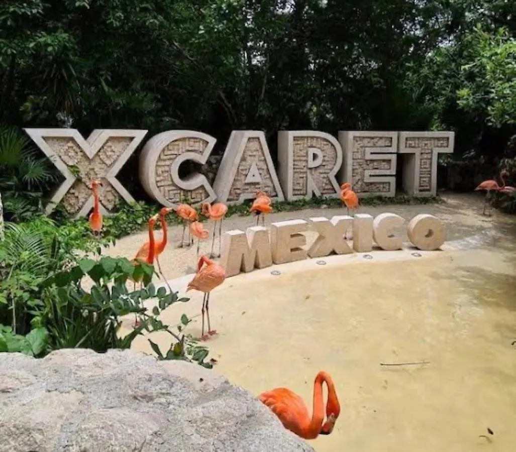 Apartmán Casa Jaguar Puerto Morelos